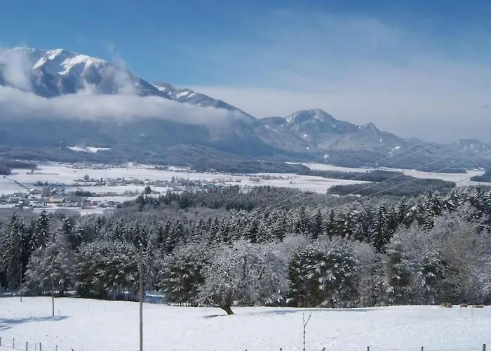 Apartament Typ 3 Im Haus Huber In By Interhome